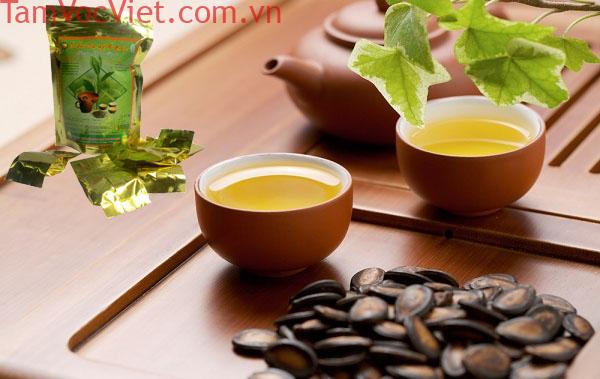 Chè Shan Tuyết - thơm ngon đặc biệt, tinh hoa của núi rừng Tây Bắc