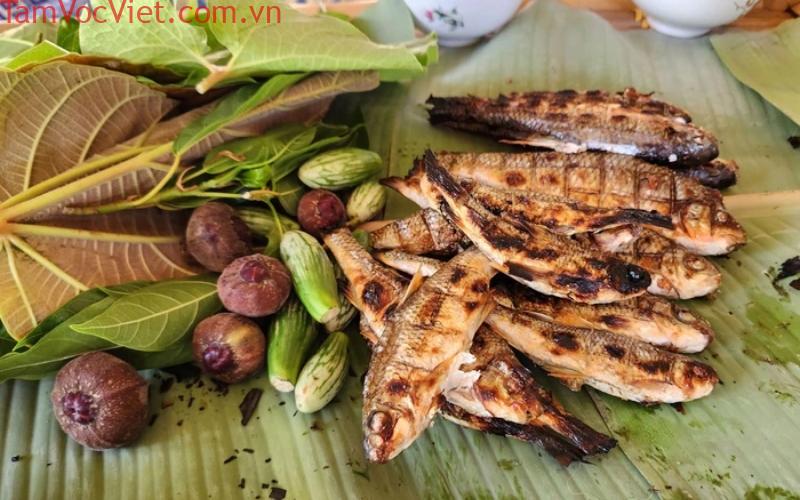 Kinh nghiệm du lịch Tà Xùa - Bí kíp săn mây thành công