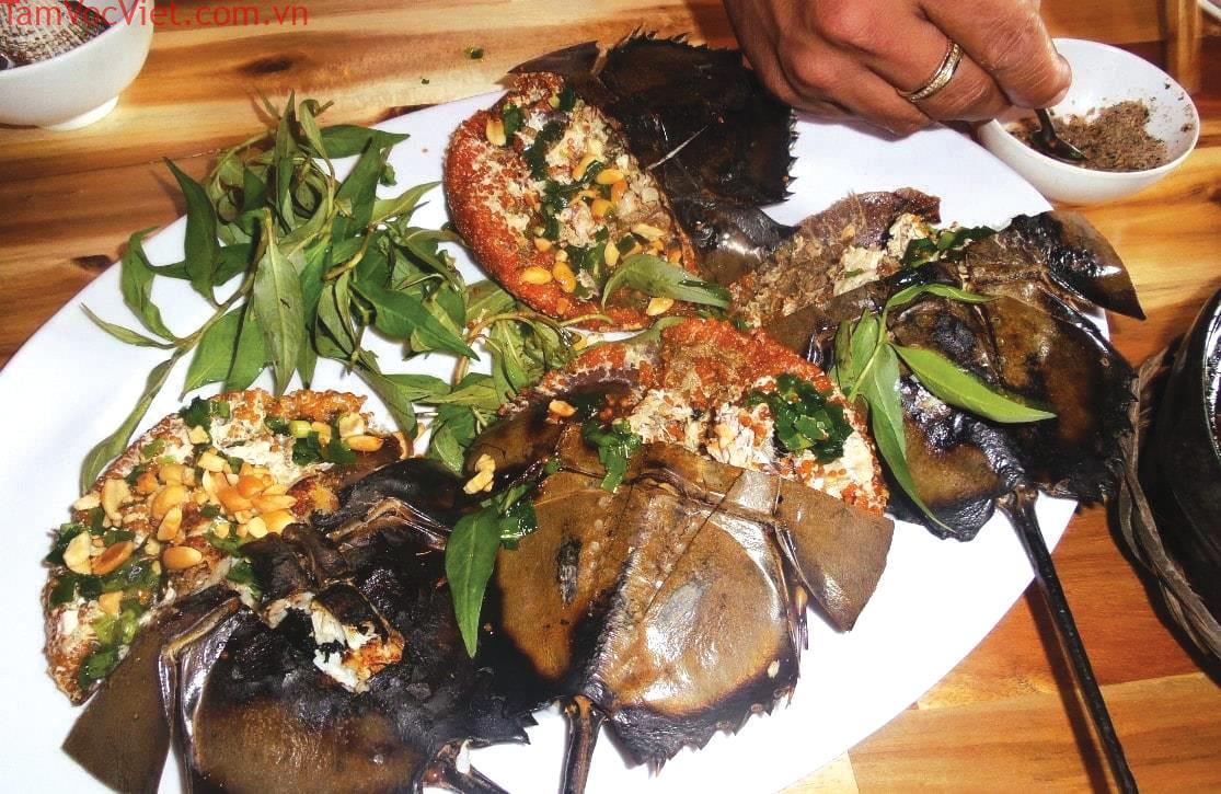 Sam biển Gò Công - Gò Công - Kho tư liệu lịch sử, văn hóa và con người