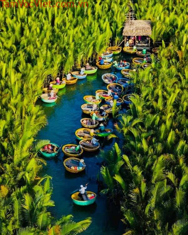 Rừng dừa bẩy mẫu hội an, rẻ, đẹp, vui