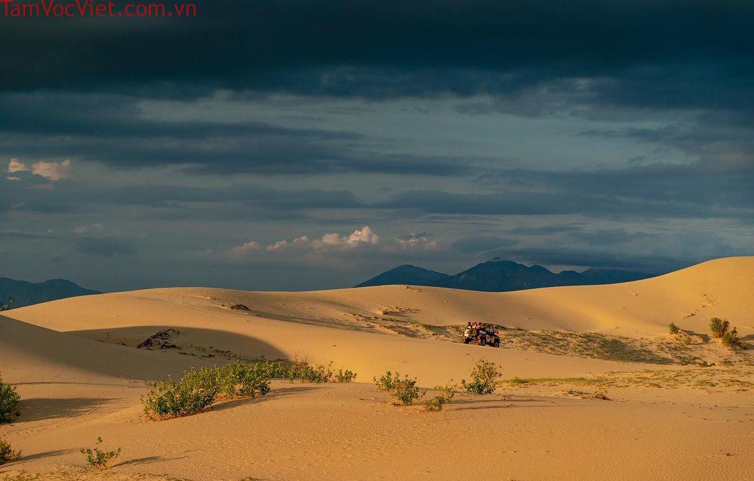 Đồi cát Nam Cương - "Sa mạc" tuyệt đẹp ở Ninh Thuận - iVIVU.com