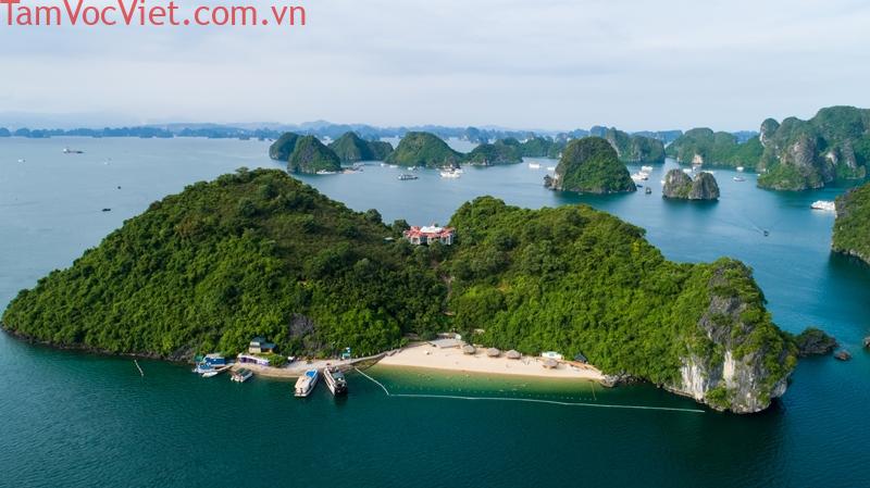 du-lich-ha-long-ivivu22