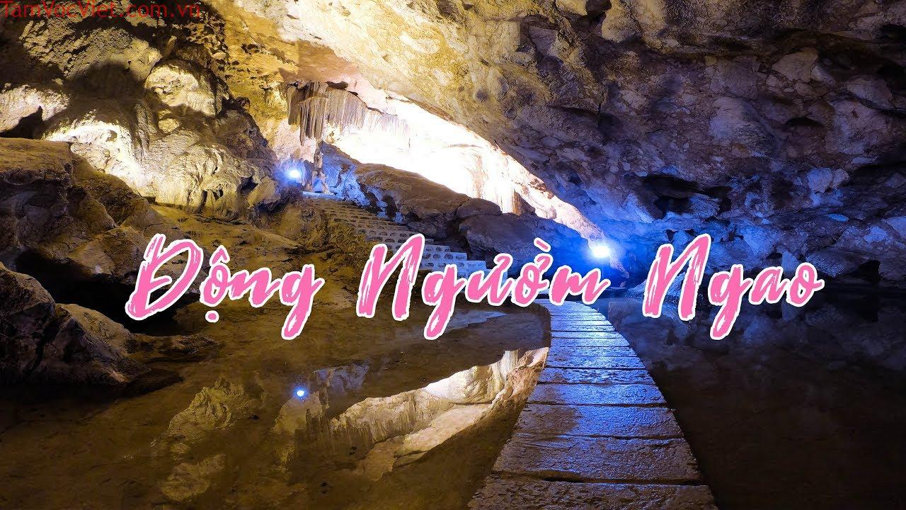 động ngườm ngao